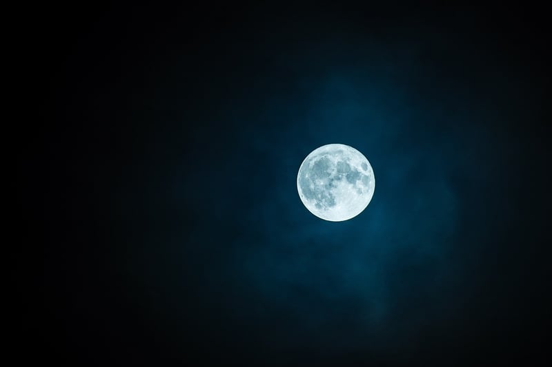 Moon Love